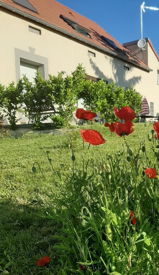 Le Feneau Maison D'Hotes Creuzier-le-Neuf Exteriör bild